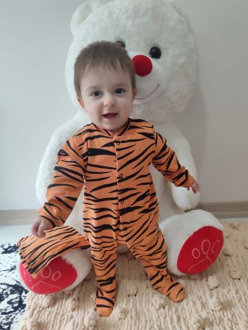 3-6-9-12 Ay Pooh Desenli Zebra Çizgili Şapkalı Sweatli 3lü Kız Erkek Bebek Tulumu(sarı)